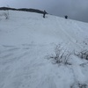 There was quite a lot of sliding down hills, not all of which was accidental. Here is Joe going back up the hill to try again.