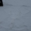 I made a snow angel.